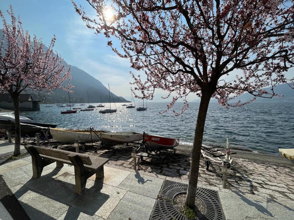 Il Sole Di Calde Lago Maggiore 504 Castelveccana Eksteriør bilde