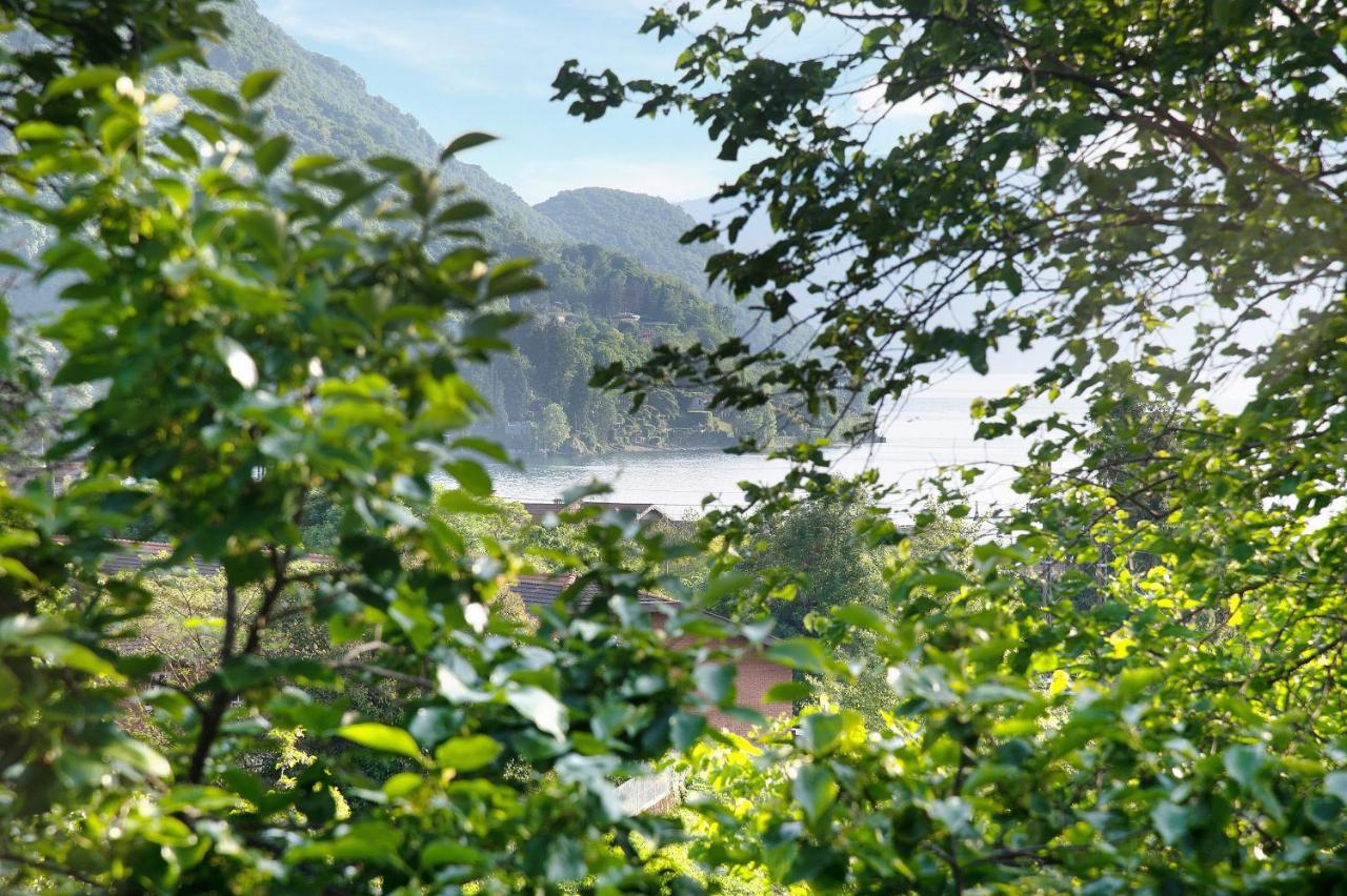 Il Sole Di Calde Lago Maggiore 504 Castelveccana Eksteriør bilde